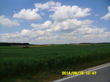 Turkey (349)
